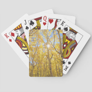 Abstract of Gilia Amidst Wildflowers California Poker Cards