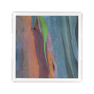 Abstract Of Rainbow Gum Tree Acrylic Tray