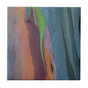 Abstract Of Rainbow Gum Tree Ceramic Tile