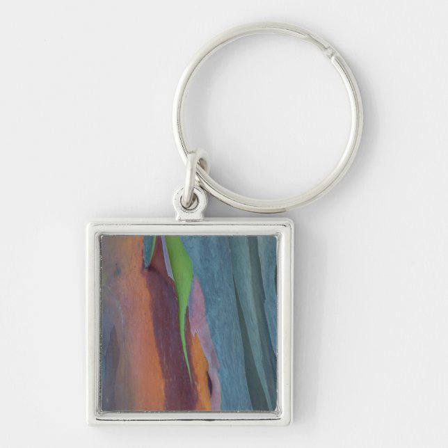Abstract Of Rainbow Gum Tree Keychain (Front)