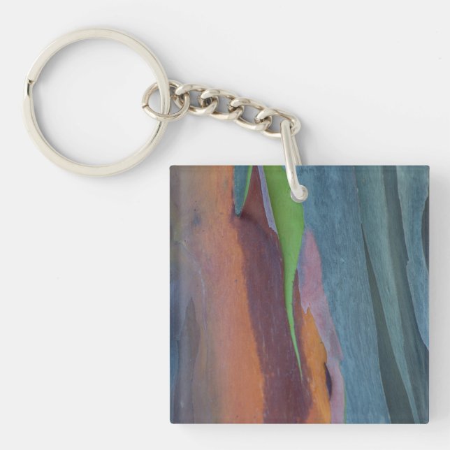Abstract Of Rainbow Gum Tree Keychain (Front)