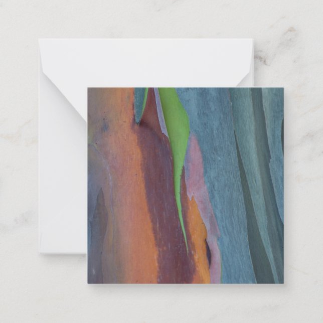 Abstract Of Rainbow Gum Tree Note Card (Front)