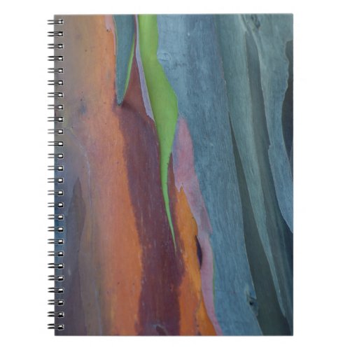 Abstract Of Rainbow Gum Tree Notebook