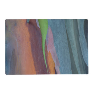 Abstract Of Rainbow Gum Tree Placemat