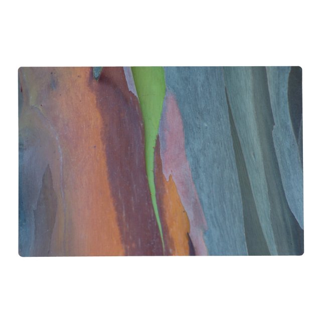 Abstract Of Rainbow Gum Tree Placemat (Front)
