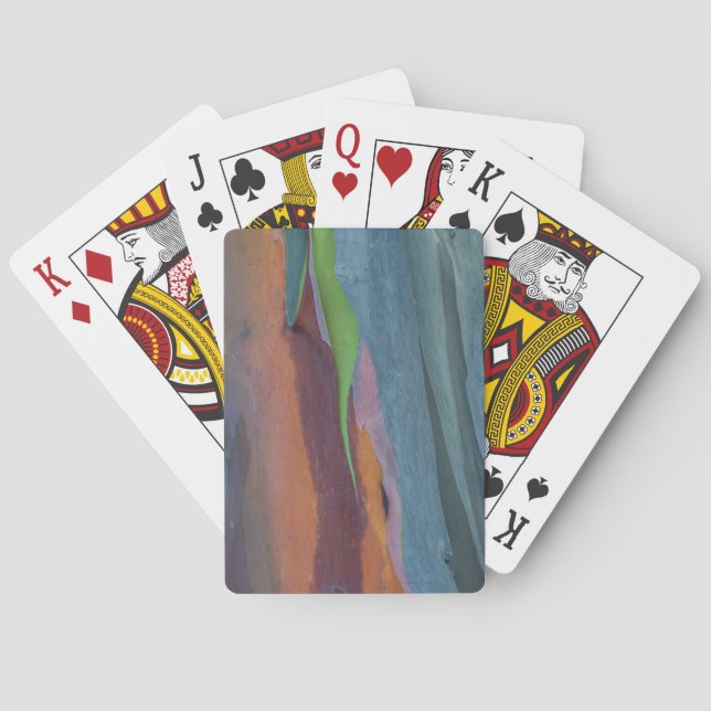 Abstract Of Rainbow Gum Tree Poker Cards (Back)