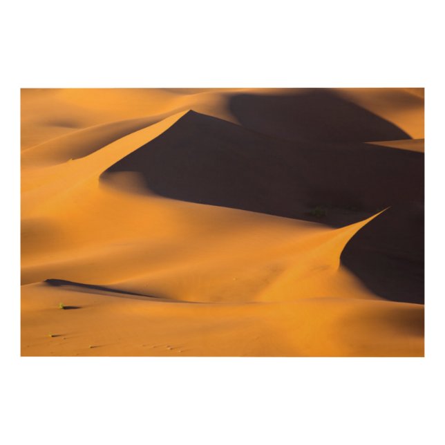 Abstract of sand dune wood wall decor (Front)