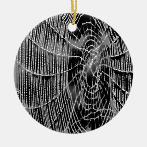 Abstract Painting Of A Grey White Cobweb On Black Ceramic Ornament