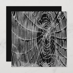 Abstract Painting Of A Grey White Cobweb On Black Invitation
