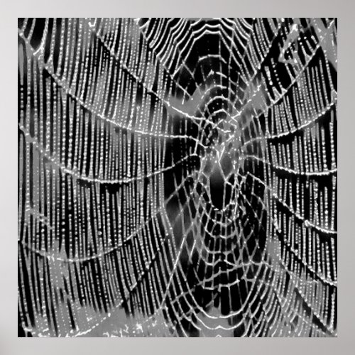 Abstract Painting Of A Grey White Cobweb On Black Poster
