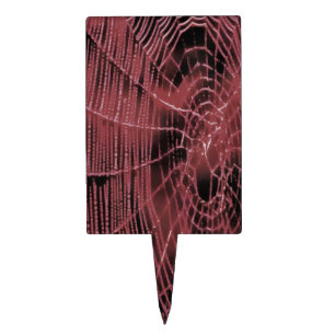 Abstract Painting Of A Magenta Pink Cobweb Cake Topper