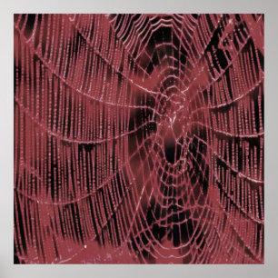 Abstract Painting Of A Magenta Pink Cobweb Poster
