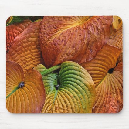 Abstract Pattern of Autumn Hosta Leaves Mousepad