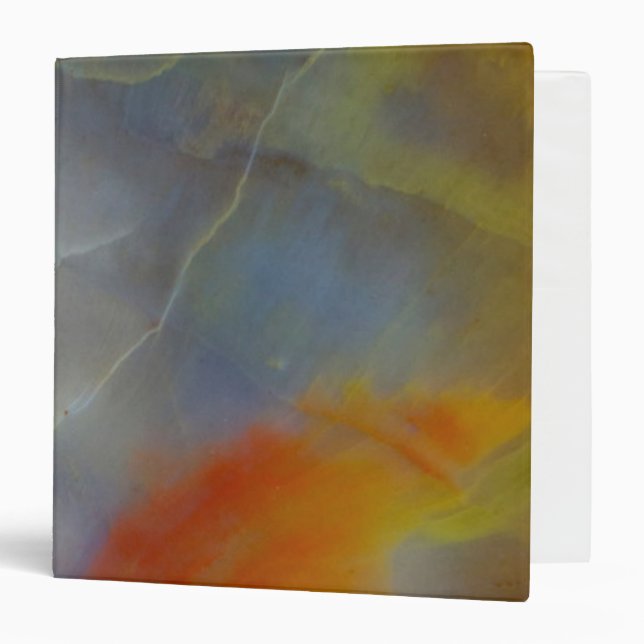 Abstract Petrified Wood close-up 3 Ring Binder (Front/Inside)