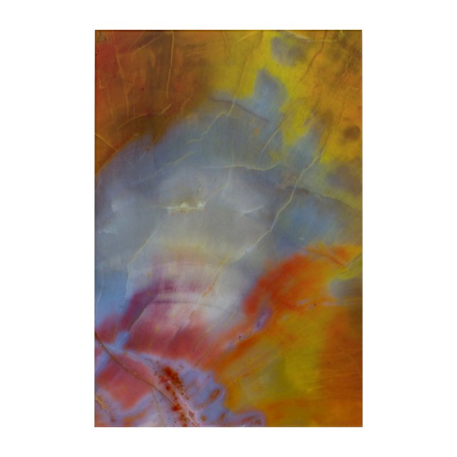 Abstract Petrified Wood close-up Acrylic Print (Front)
