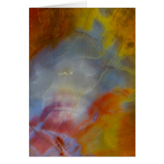 Abstract Petrified Wood close-up Cards (Front)