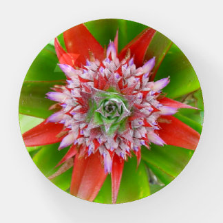 Abstract Pineapple Plant Paperweight