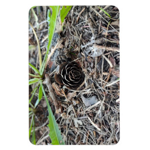 Abstract Pinecone Flower Magnet