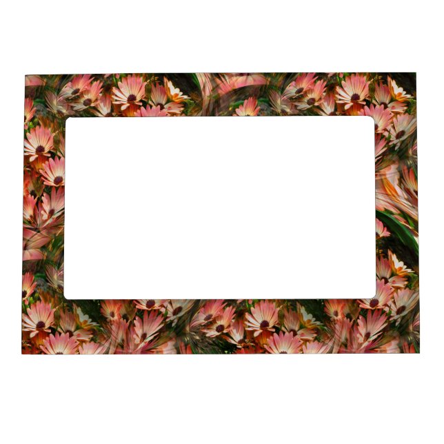 Abstract Pink African Daisy Flowers Magnetic Frame (Front)