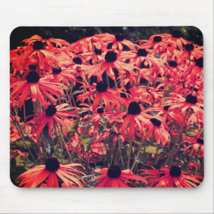 Abstract Pink Black Eyed Susan Flower Art Mouse Pad