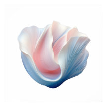 Abstract Pink, Blue and White Shell