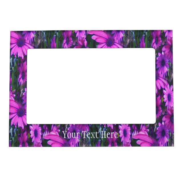 Abstract Pink Daisy Flowers Magnetic Frame (Front)