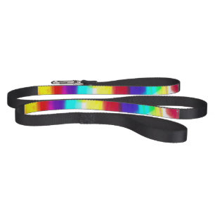 Abstract Popart Primary Rainbow Dog Leash
