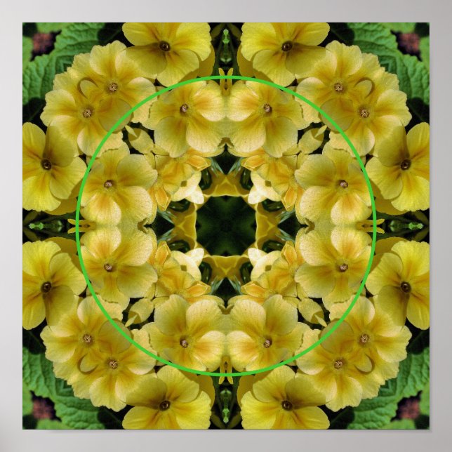 Abstract Primrose Flowers Create Your Own Photo Poster (Front)