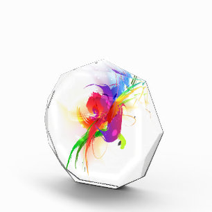 Abstract Rainbow Lorikeet Paint Splatters Acrylic Award