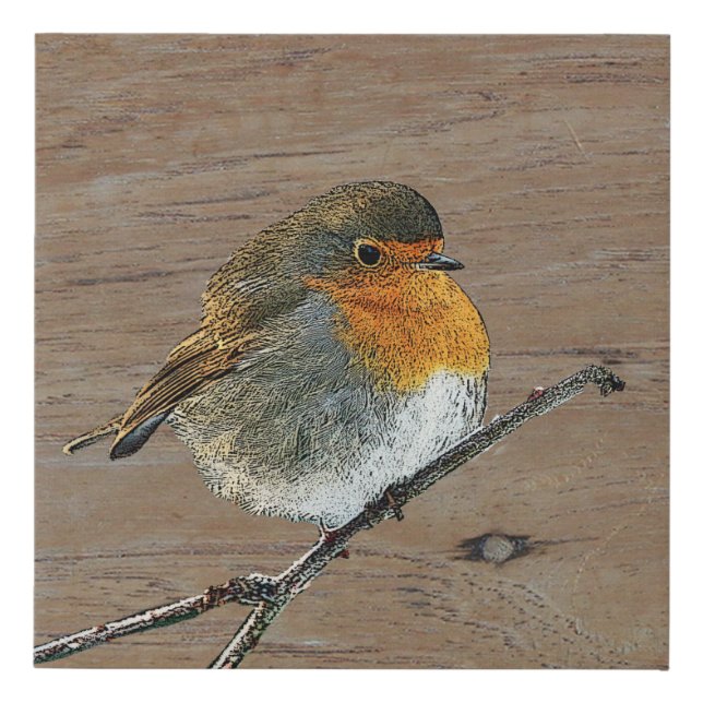 Abstract Robin bird photo art rustic wood Faux Canvas Print (Front)