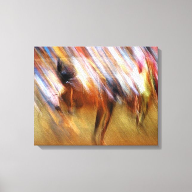 abstract Rodeo Canvas Print (Front)