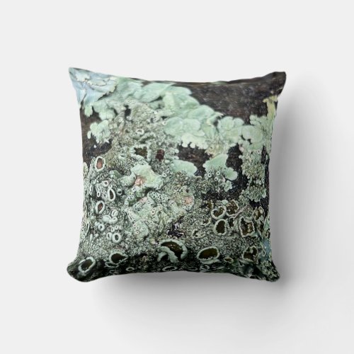 Abstract Sage Green Lichen on Dark Wood Throw Pillow