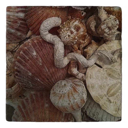 Abstract Seashells Trivet