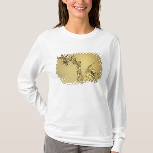 Abstract Shape Formed by Splashing Water T_Shirt