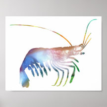 Abstract Shrimp silhouette