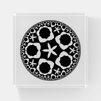 Abstract Star Artwork Elegant Black and White