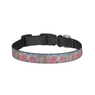 Abstract Summer Roses Pet Collar