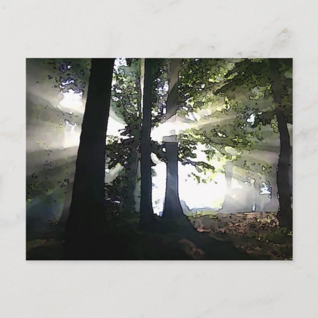 Abstract Trees Postcard (Front)