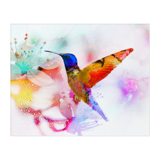 Abstract Watercolor Hummingbird  Acrylic Print