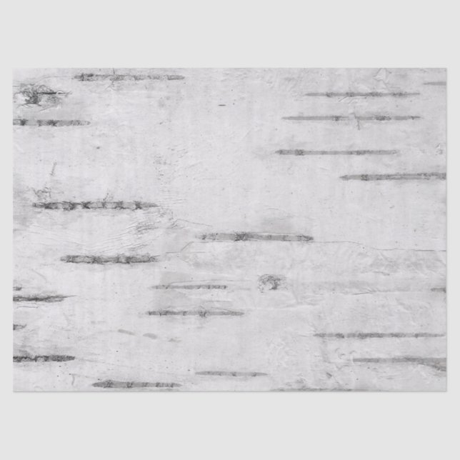 Abstract White Birch Tree Bark Decoupage Tissue Paper (Front)