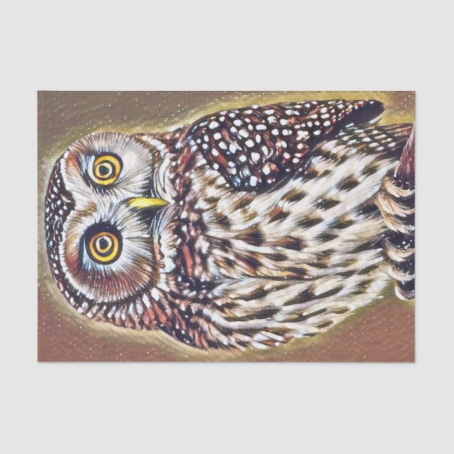 Abstract Wilderness Forest Owl Art Tissue Paper (Front)