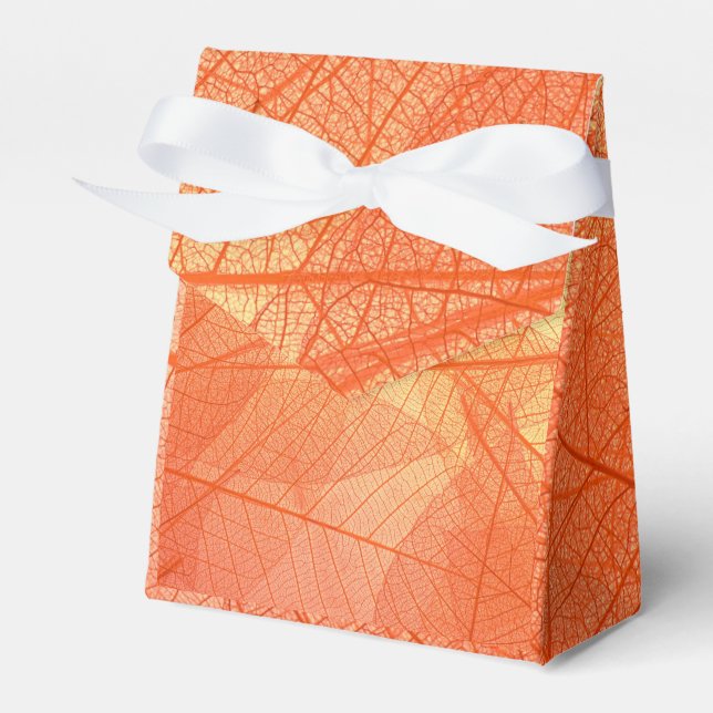    Abstract Wraps 6 Favor Boxes (Front Side)