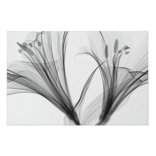 Abstract X_Ray Flowers by Mathew Schwartz Faux Canvas Print