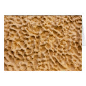 Abstract Yellow Sandrock (Front Horizontal)
