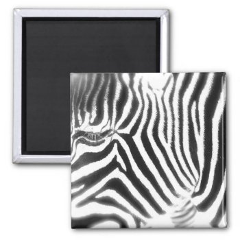 Abstract Zebra Magnet by pulsDesign at Zazzle