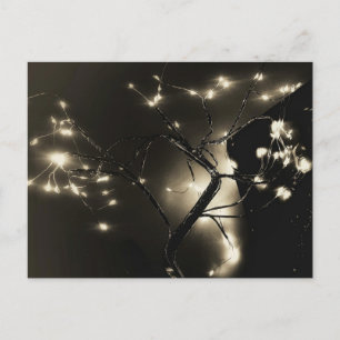 abstracted lights black and white photo Postcard