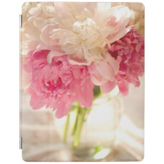 Abstraction iPad Air Cover