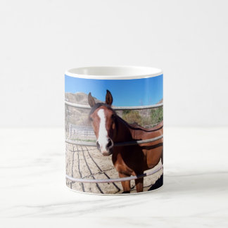 abu color morph mug 