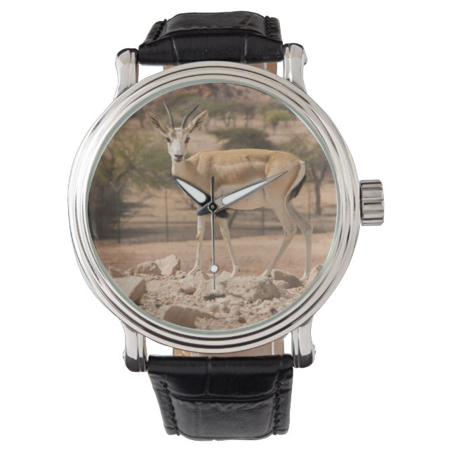 Abu Dhabi Watch (Front)