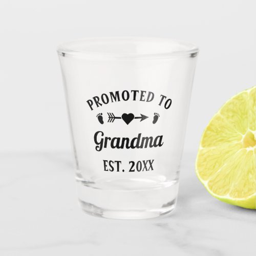 Abuela Nonna Nanna Grandmother Promoted To Grandma Shot Glass